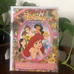 Disney 2007 Princess Look and Find Book with Pink and Purple Cover